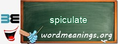 WordMeaning blackboard for spiculate